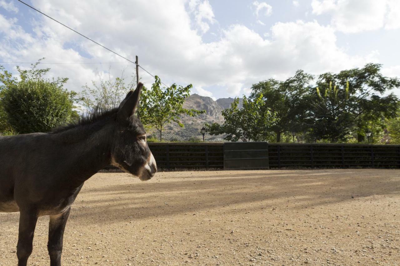 Cortijo La Algallumbilla Carcabuey Екстер'єр фото